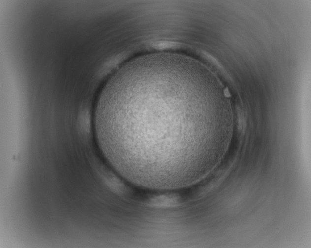 X0000113630447200909251224