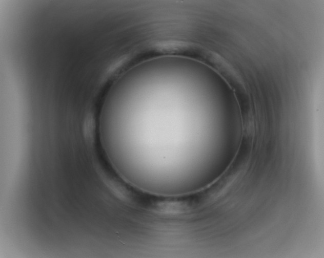 X0000113630448200909251224