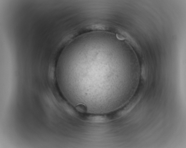 X0000113630449200909251224