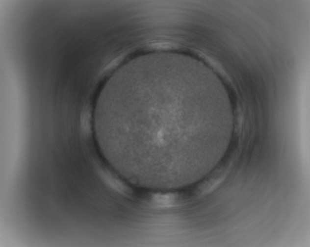 X0000113630450200909251224