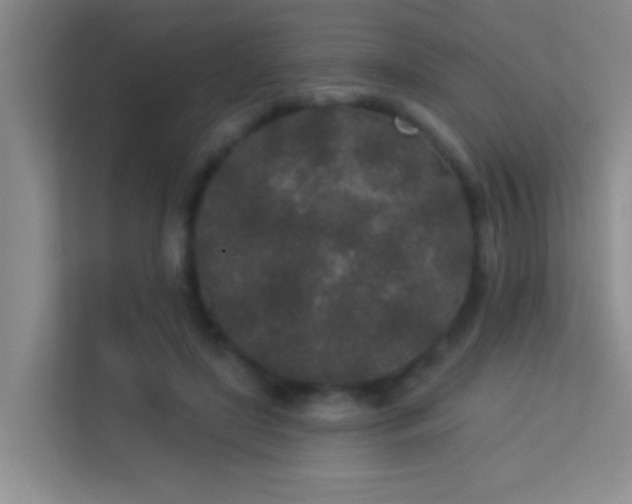 X0000113630451200909251224