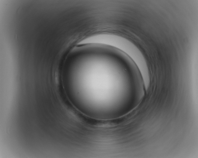 X0000113630452200909251224