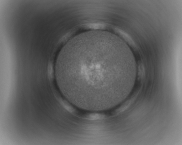 X0000113630453200909251224