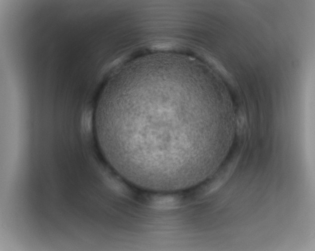 X0000113630454200909251224