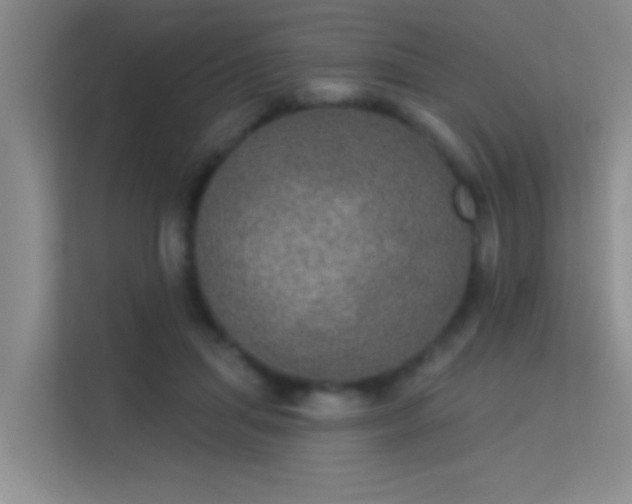 X0000113630455200909251224