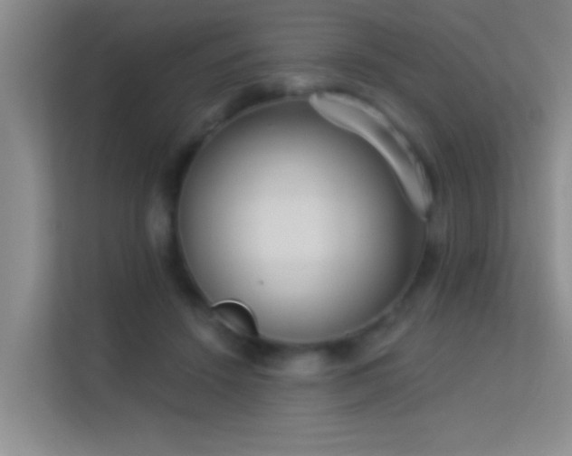 X0000113630456200909251224