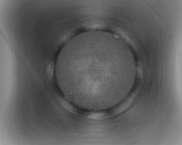 X0000113630458200909251224