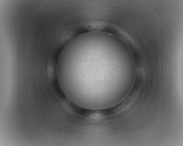 X0000113630460200909251224
