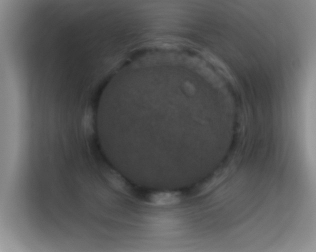 X0000113630465200909251224