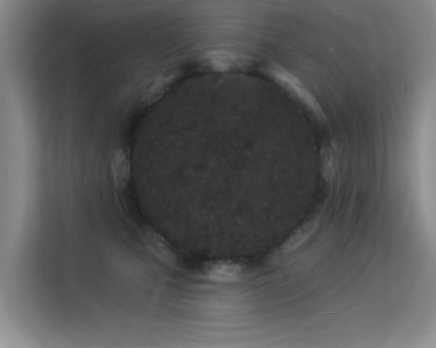 X0000113630471200909251224