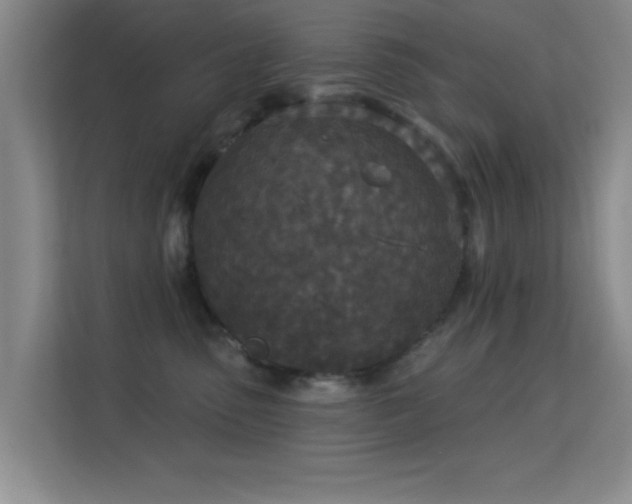 X0000113630475200909251224