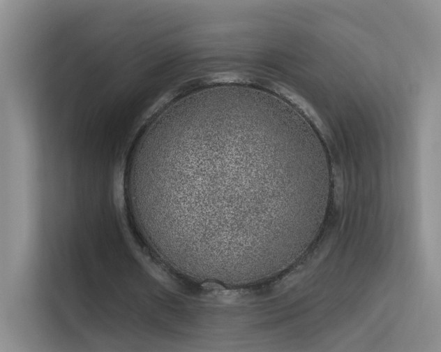X0000113630482200909251224