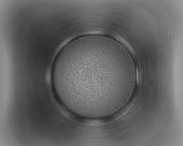 X0000113630483200909251223