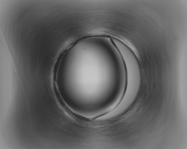 X0000113630485200909251223