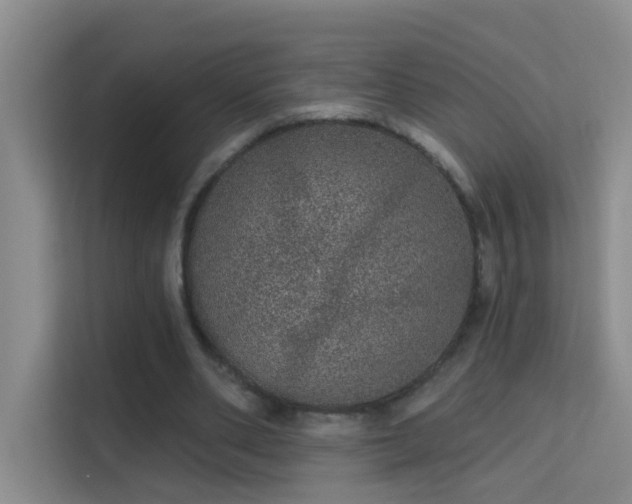 X0000113630486200909251223