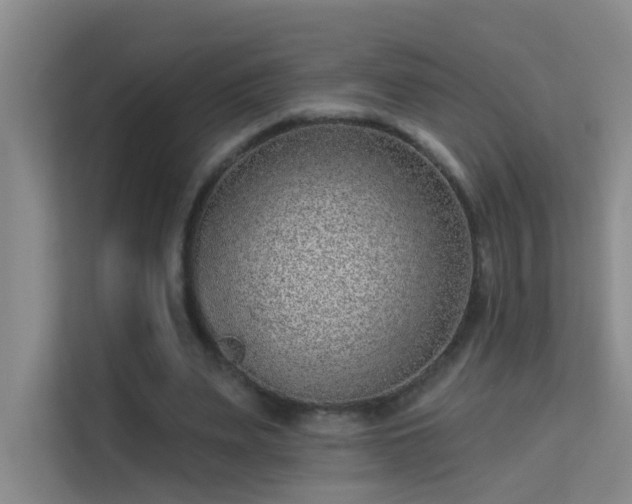 X0000113630487200909251223
