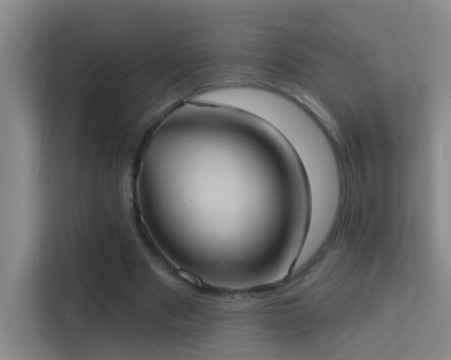 X0000113630489200909251223