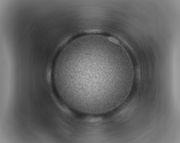 X0000113630491200909251223