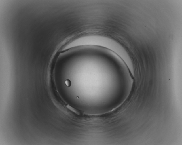 X0000113630492200909251223