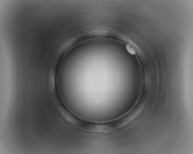 X0000113630493200909251223