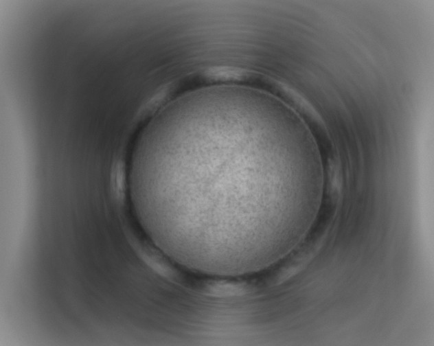 X0000113630494200909251223