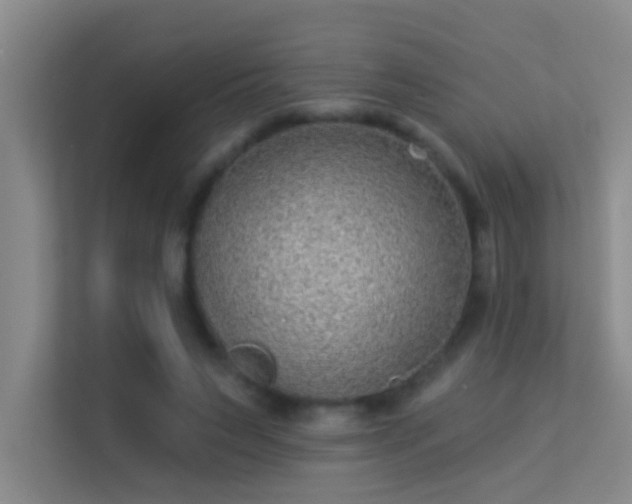 X0000113630495200909251223