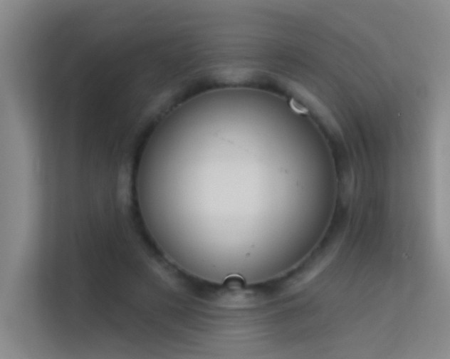 X0000113630497200909251223