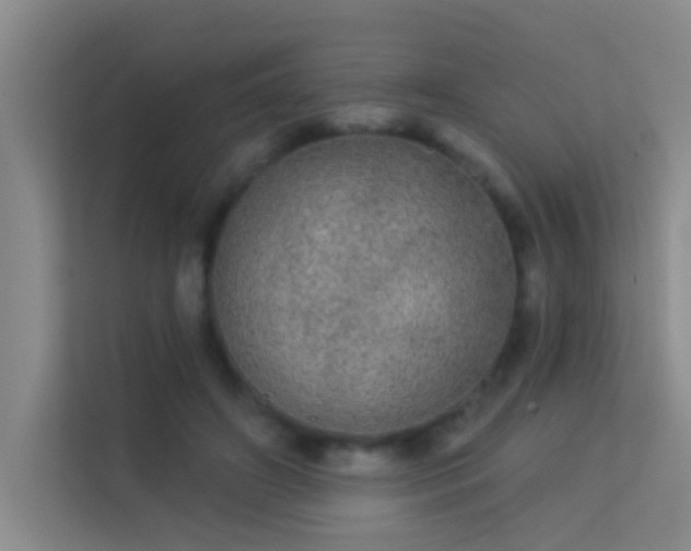 X0000113630498200909251223