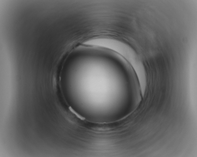 X0000113630500200909251223