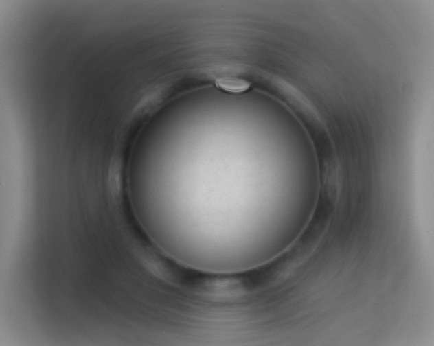 X0000113630501200909251223