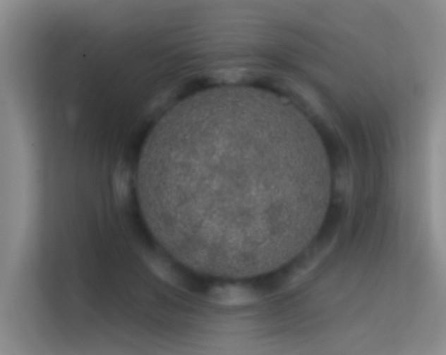 X0000113630503200909251223
