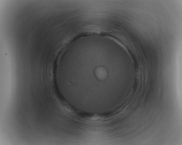 X0000113630504200909251223