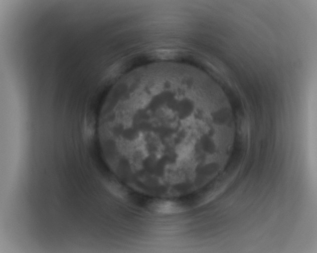 X0000113630507200909251223