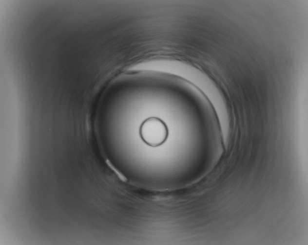 X0000113630508200909251223
