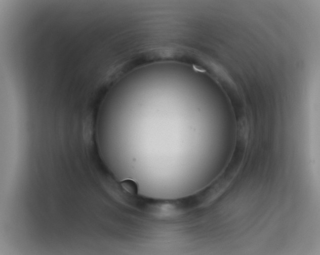 X0000113630509200909251223