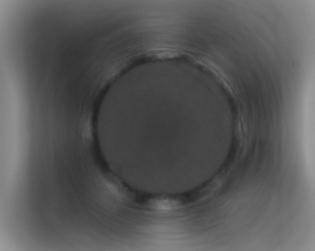 X0000113630512200909251223