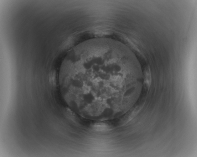 X0000113630519200909251223