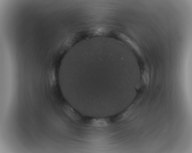 X0000113630520200909251223