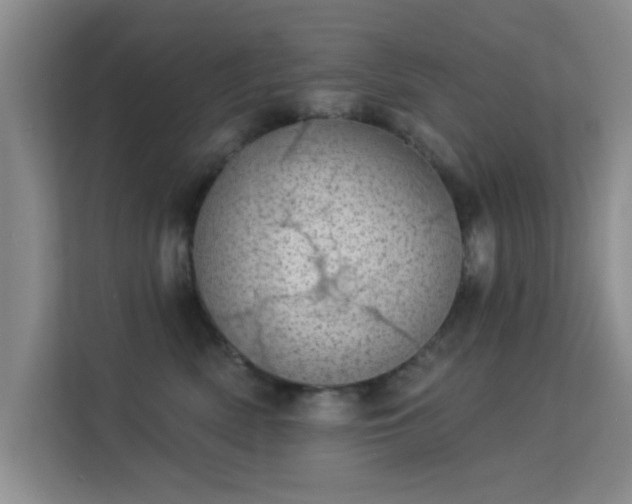 X0000113630522200909251223