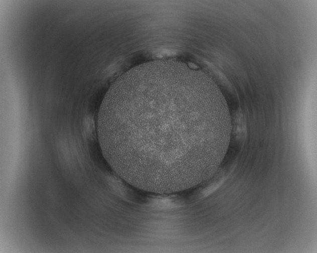 X0000113630523200909251223