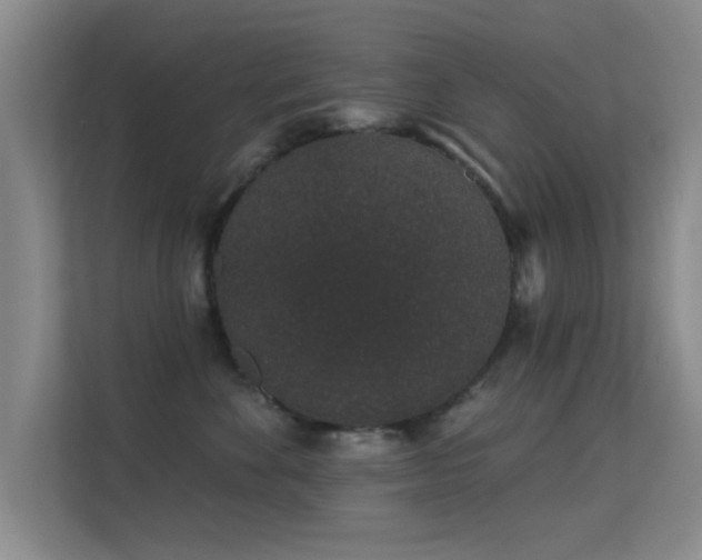 X0000113630524200909251223