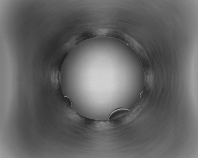 X0000113630525200909251223