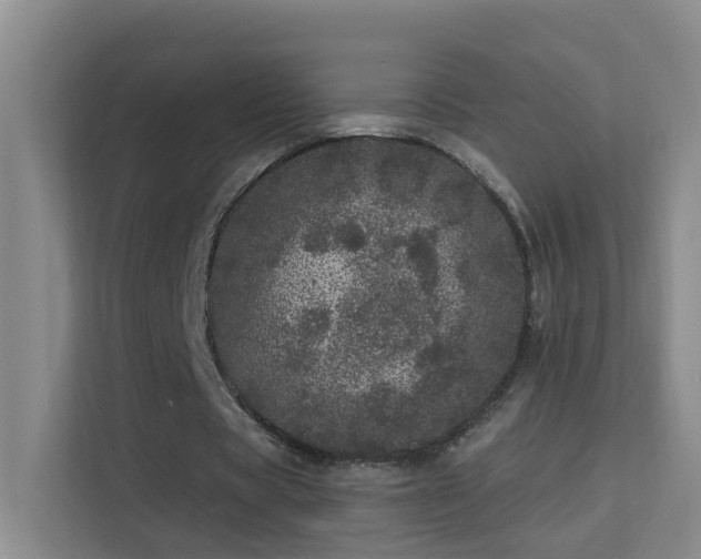 X0000113630529200909251222