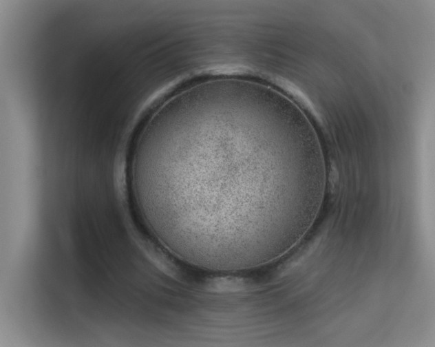 X0000113630535200909251222