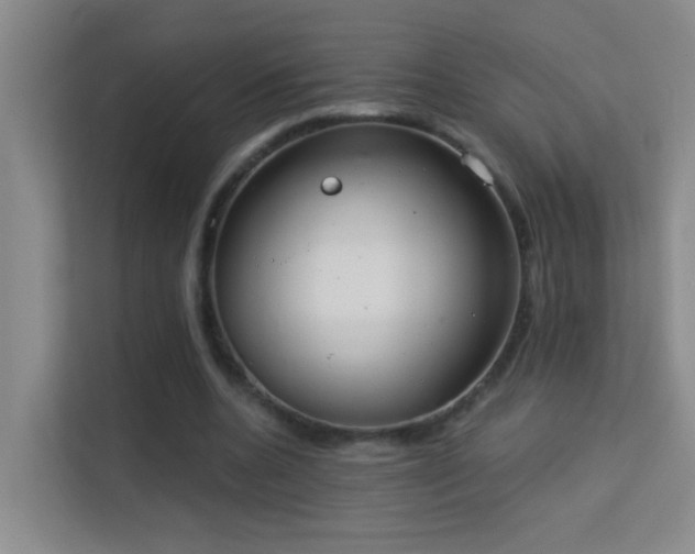 X0000113630536200909251222