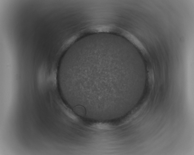 X0000113630537200909251222