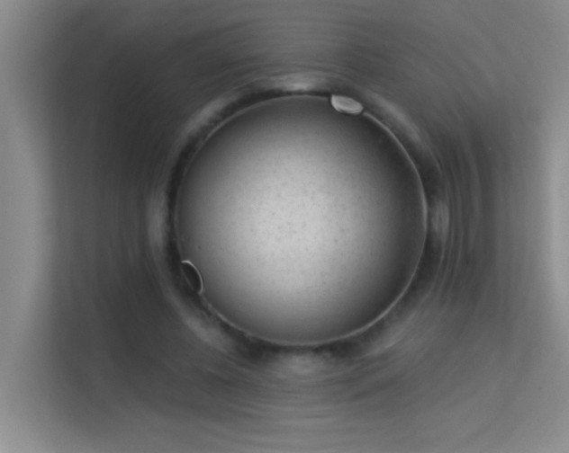X0000113630540200909251222