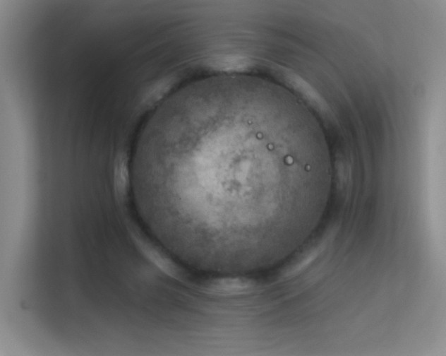 X0000113630541200909251222