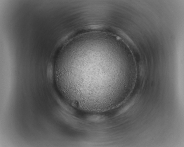 X0000113630542200909251222