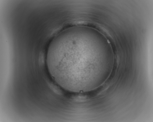 X0000113630546200909251223